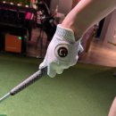 반양 가성비 골프장갑 라조시 버디그립 실리콘<b>반양</b>피 천연양피 합피 비교