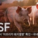 이화정농장 이미지