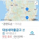 새대성 이미지