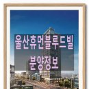 휴먼네트워크 | 울산 시청 휴먼블루드빌 장점 총정리