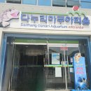 다누리도서관 | 충북 단양 국내 최대 민물고기 수족관 다누리아쿠아리움