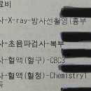 9월의 소원 동물병원 이미지