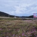 북천 간이화장실 이미지