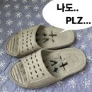 아이앤지메딕스 | 왕초보 견주의 생후 5개월 강아지치아관리 기록