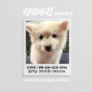 군산시-01116 이미지