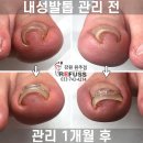 레푸스원주점