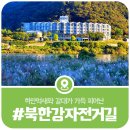 청평파인호텔 | 가평 북한강변길, 가을에 걷기좋은 강변억새산책로 북한강자전거길 청평구간(신청평대교~대성리역)