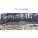 율곡보건지소 Daum카페
