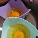 수란농장 이미지