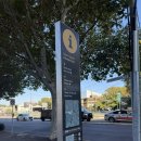 행복마트(블루25) | 5일차] '지그재그투어' 선셋별보기!!블루마운틴 투어 솔직후기/장단점:: 페더데일동물원 오후입장 후기