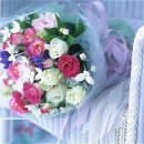 나를행복하게해 Daum카페