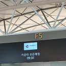 홍콩 | 홍콩 여행 후기 🇭🇰