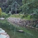 선바위자연캠핑장 이미지