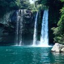 제주축산농협한우프라자아라점 이미지