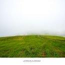 봉화목장 이미지