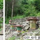 토종벌 키우기