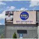 골든밀