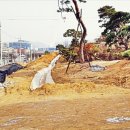 새땅공인중개사사무소 이미지