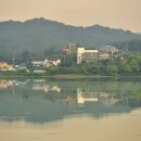 연꽃이야기 이미지