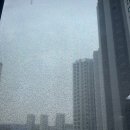 해마루 더펠리체 | 검단 아파트 유리창 청소 - 디에트르더펠리체 창문 관리 비용 후기