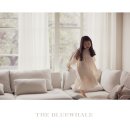 더블루웨일스튜디오