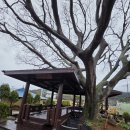 삼동면행정복지센터 이미지