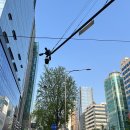 (주)동안산기 5 | 신사역피부과 내돈내산 스컬트라후기, 동안효과 생긴거 같아요!