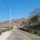 경북 [김천맑은계곡 오토캠핑장] 사이트 A, B 이용후기 - 매우 만족