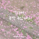 임상춘 작가님 드라마 &lt;동백꽃 필 무렵&gt; 세계관 연결로 바라본 &lt;폭싹 속았수다&gt; 후기