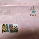 은혜로운팜 네이버블로그
