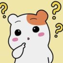 온필라테스 - 제주시 건주로4길 10-4 | 첫 클래식 필라테스 제주 온클래식 필라테스 후기 [1회차]