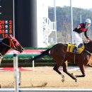 부경슈퍼 - 창녕군 우포2로 1217 | 부경슈퍼
