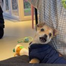 별빛쉼표 이미지