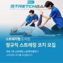 [강남] "스트레치뱅" 코치에 지원하세요 (주말 프리) 이미지