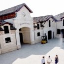 샤또 퐁떼 까네 2019 시음기 (Chateau Pontet-Canet 2019) 보르도 그랑크뤼 5등급, 슈퍼 세컨드 와인...