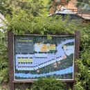 흥정계곡캠핑700 | 흥정계곡 캠핑700 A14사이트