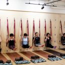 테라피 요가B Daum카페
