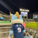 올해 첫 직관⚾️🩵💙 with NC다이노스