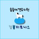 솔솔애견유치원 이미지