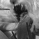 다나은 동물병원 이미지