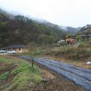 산마루황토 Daum카페