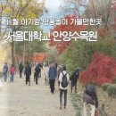 새싹나라유치원 | 아기와 함께 서울대학교 안양 수목원 방문 주차 꿀 팁, 휠체어 유모차 반입 가능