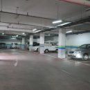 경기 시흥시 정왕동 1849-6 세종 303동 2층 이미지