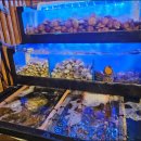 동홍북로 이미지