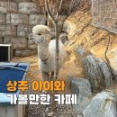 한울농원 | 경북 상주 아이와 가볼만한곳 알파카 토끼가 있는 대형카페