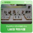 한남대학교 자연사박물관 이미지