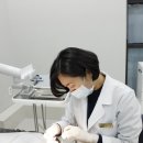 세종하이치과의원 이미지