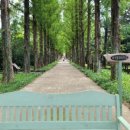 구찌네집 이미지