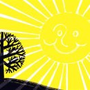 천과나무 이미지