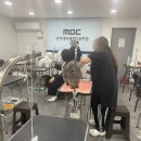 베스트강북애견미용학원 | 강북 애견미용학원 추천 실견 미용 제대로 배우는 MBC아카데미 후기